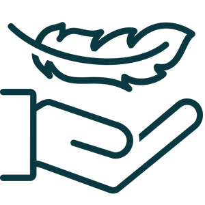Feature icon