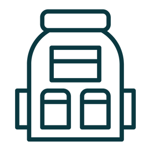 Feature icon