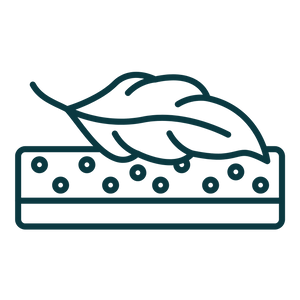 Feature icon