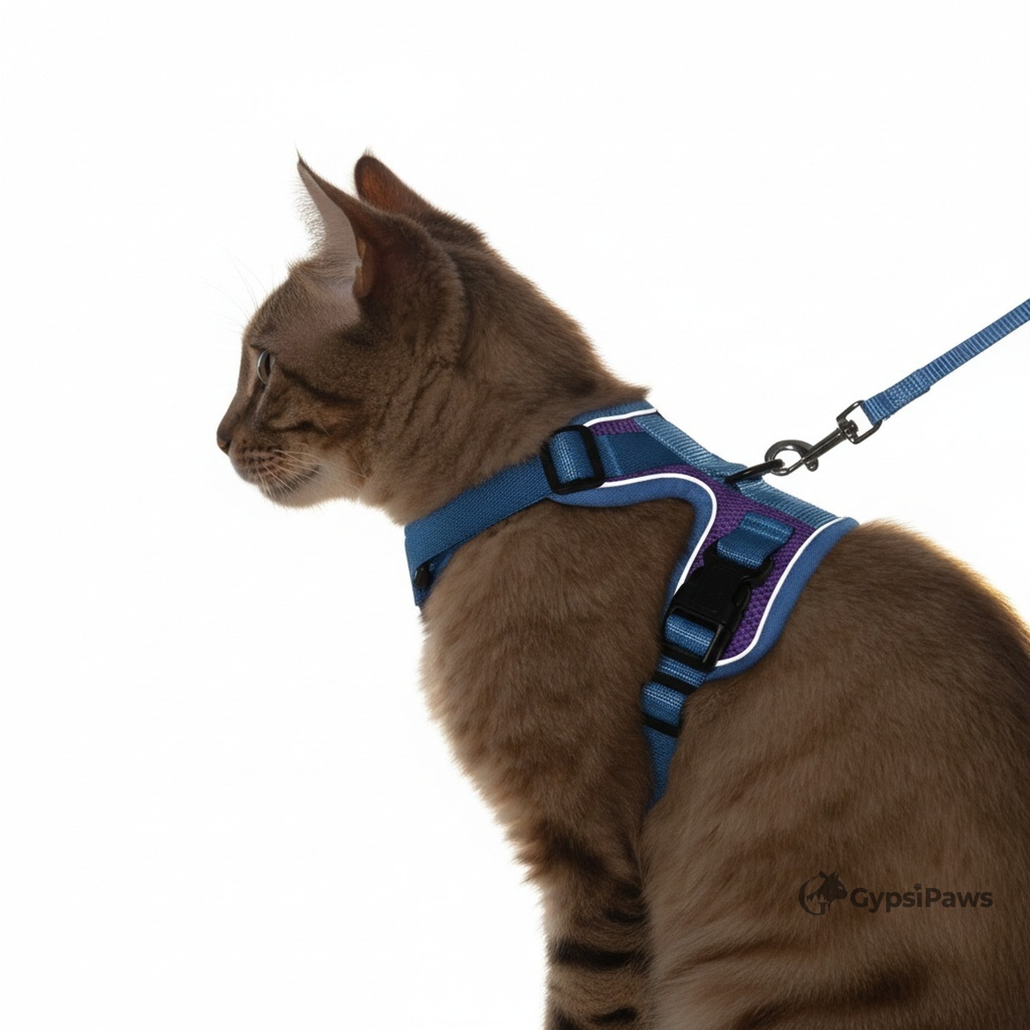DopamineWalk Cat Harness Set — Reflective, Escape-Proof, Breathable Comfort