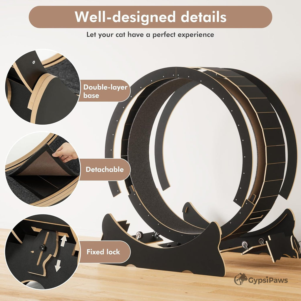 Pet exercise wheel with features highlighted on a light background