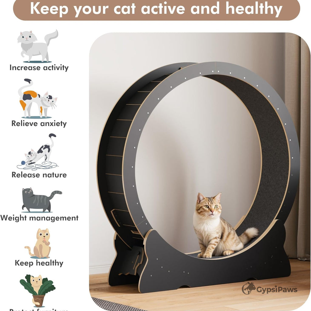 Cat exercise wheel with benefits listed on a white background