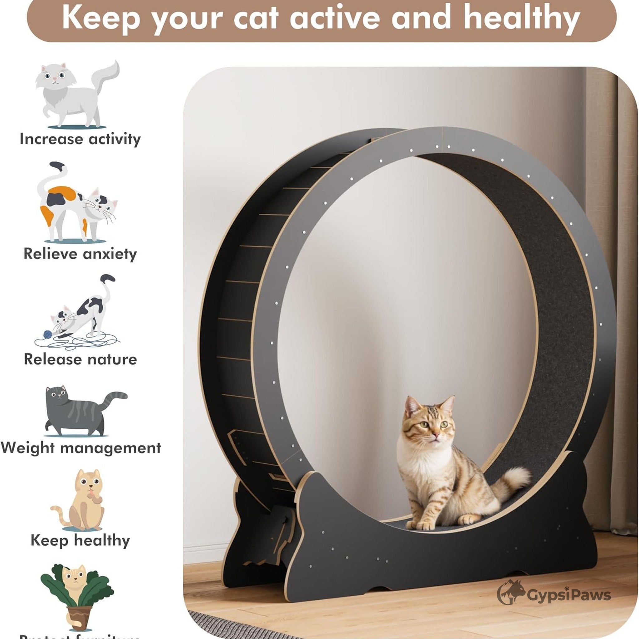 Cat exercise wheel with benefits listed on a white background