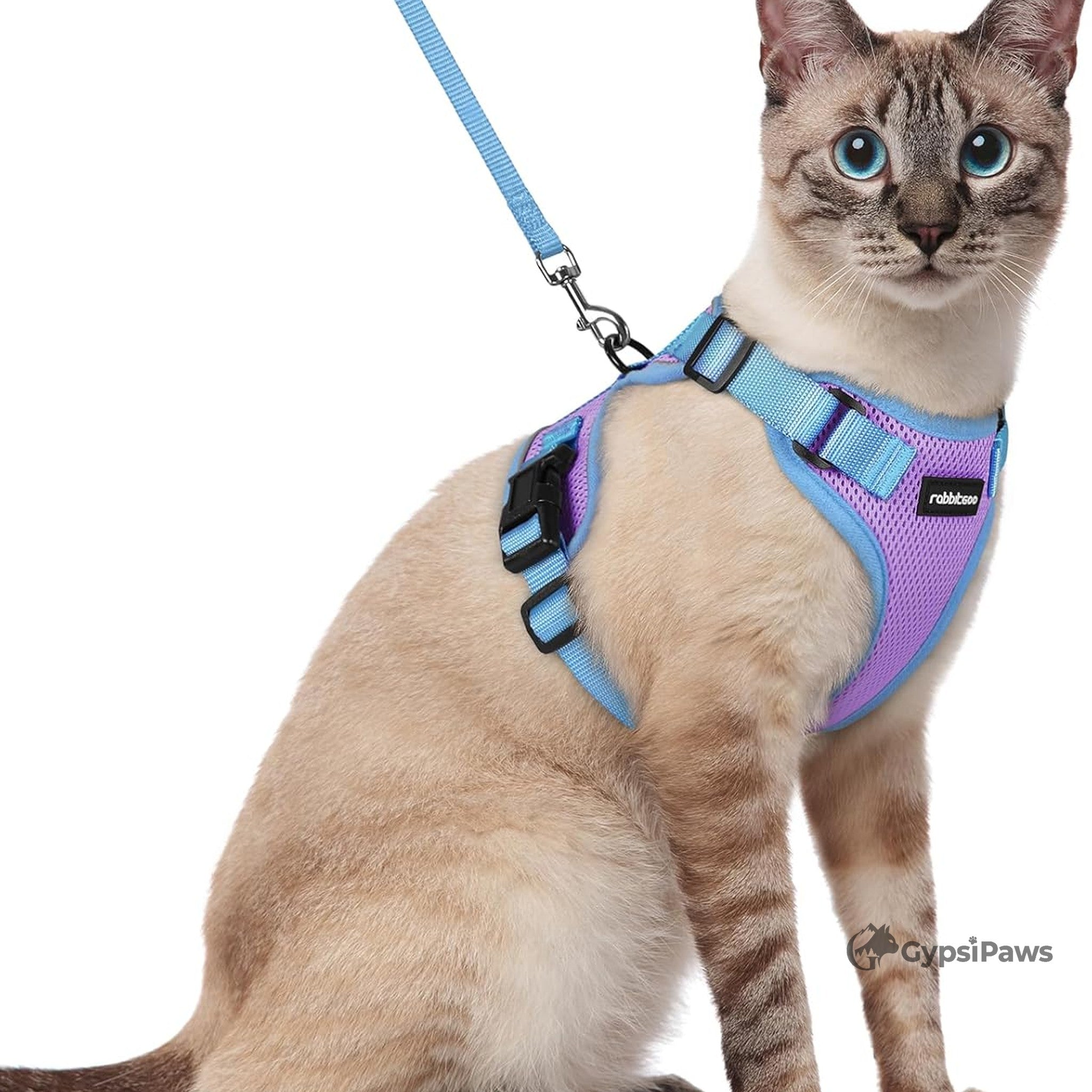 DopamineWalk Cat Harness Set — Reflective, Escape-Proof, Breathable Comfort