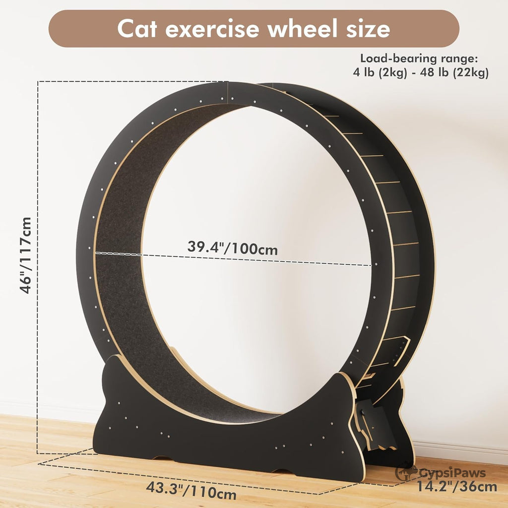 Cat exercise wheel with dimensions and load-bearing range on a white background
