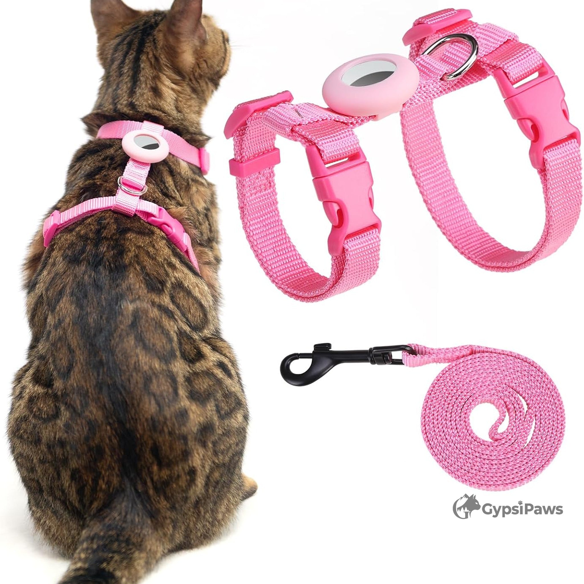 Cat wearing a pink harness and leash set with Gypsy Paws branding.