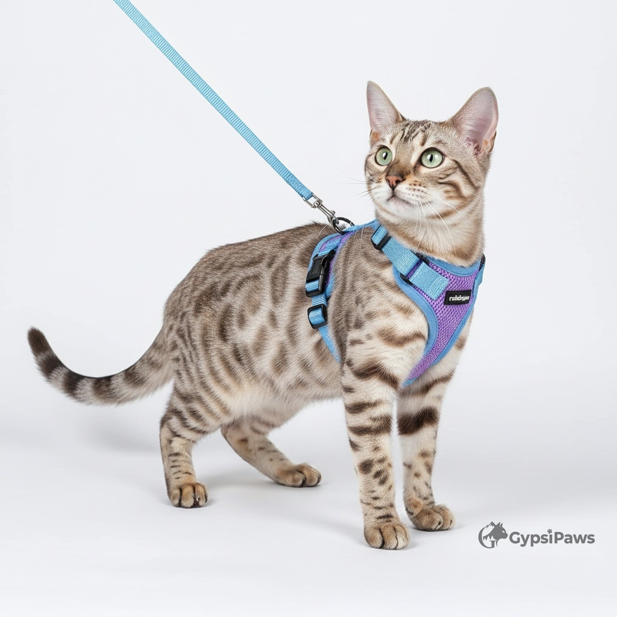 DopamineWalk Cat Harness Set — Reflective, Escape-Proof, Breathable Comfort