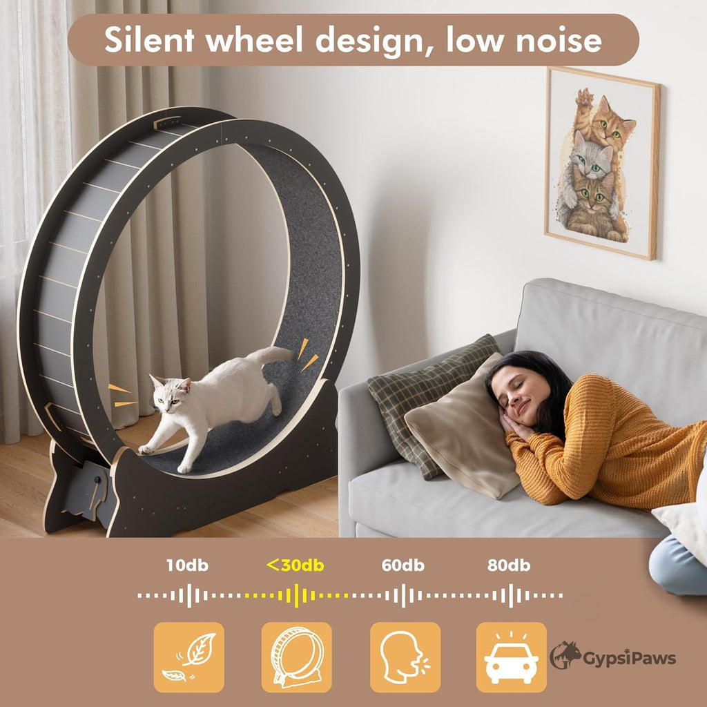 Pet exercise wheel with a cat using it and a woman sleeping on a couch, with GypsyPaws branding.