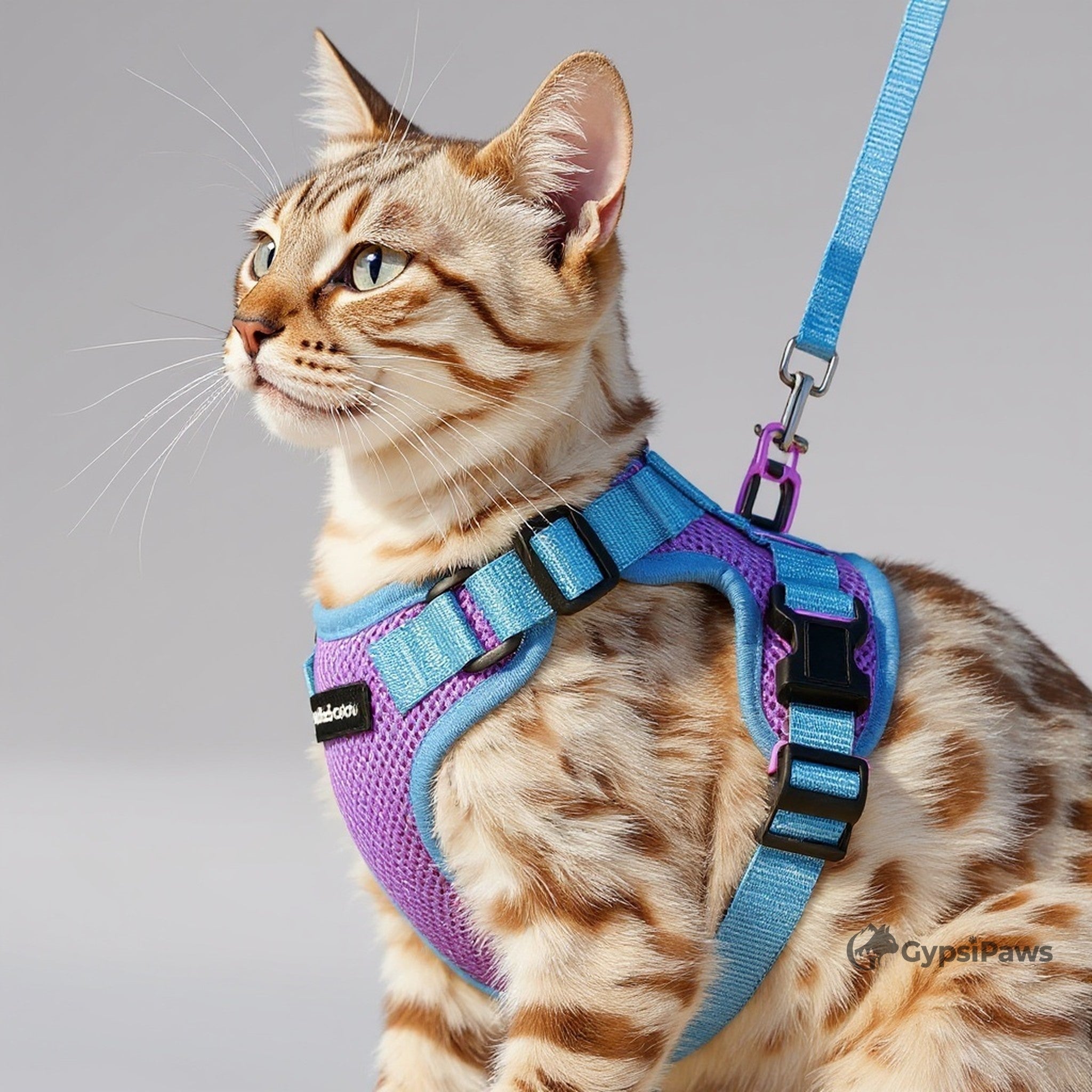 DopamineWalk Cat Harness Set — Reflective, Escape-Proof, Breathable Comfort