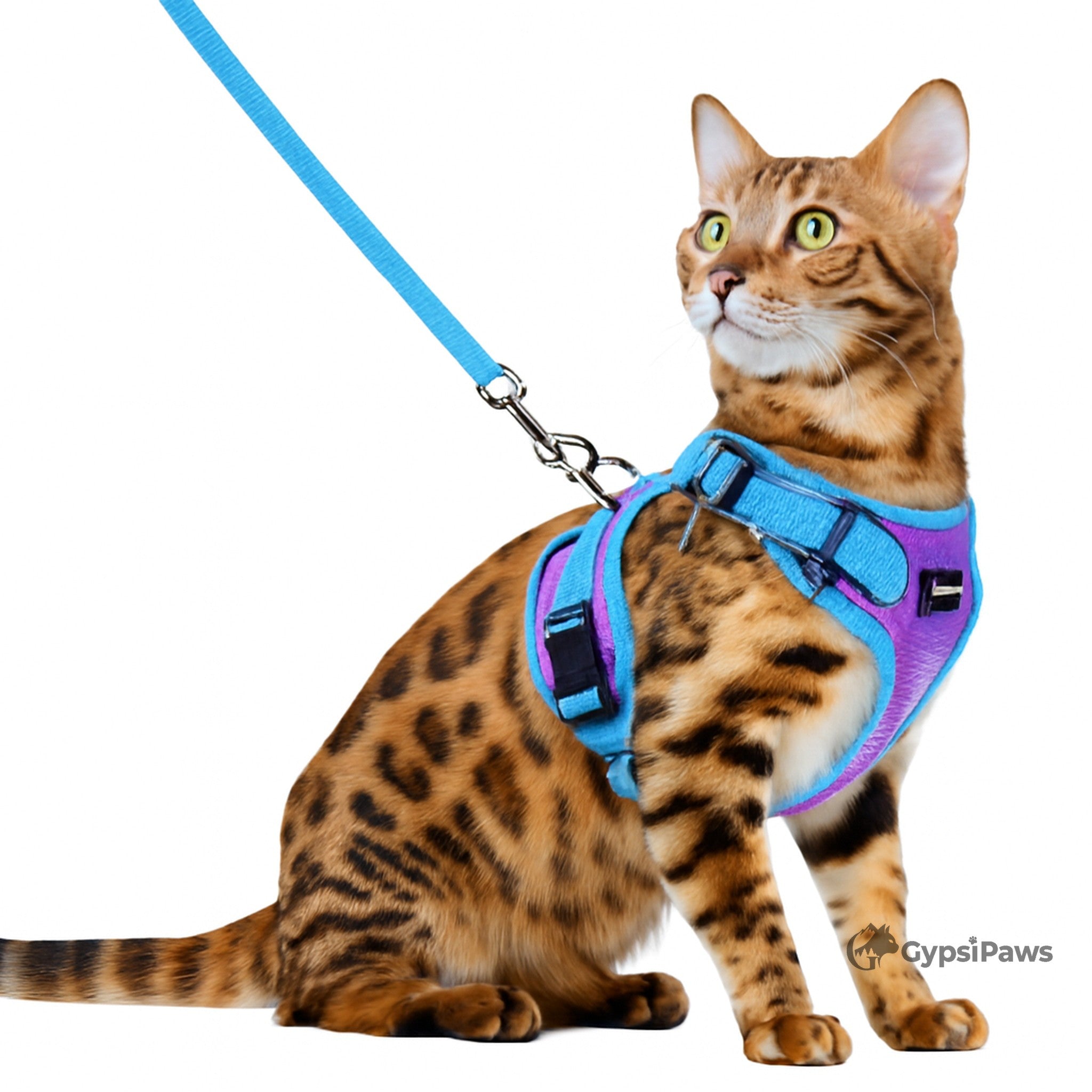 DopamineWalk Cat Harness Set — Reflective, Escape-Proof, Breathable Comfort
