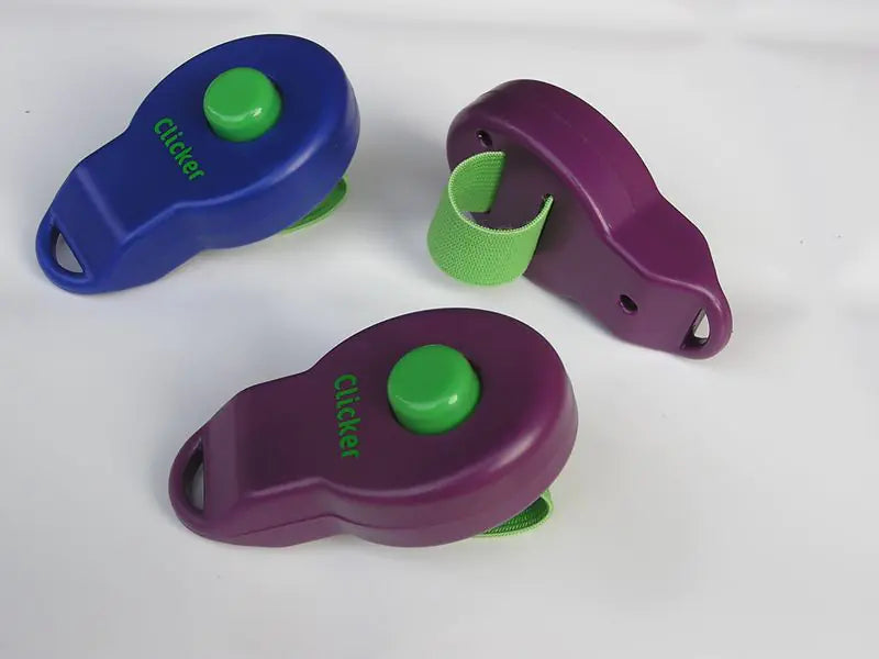 Ring Clicker Pet Training Stick — Lightweight, Colorful, Effective