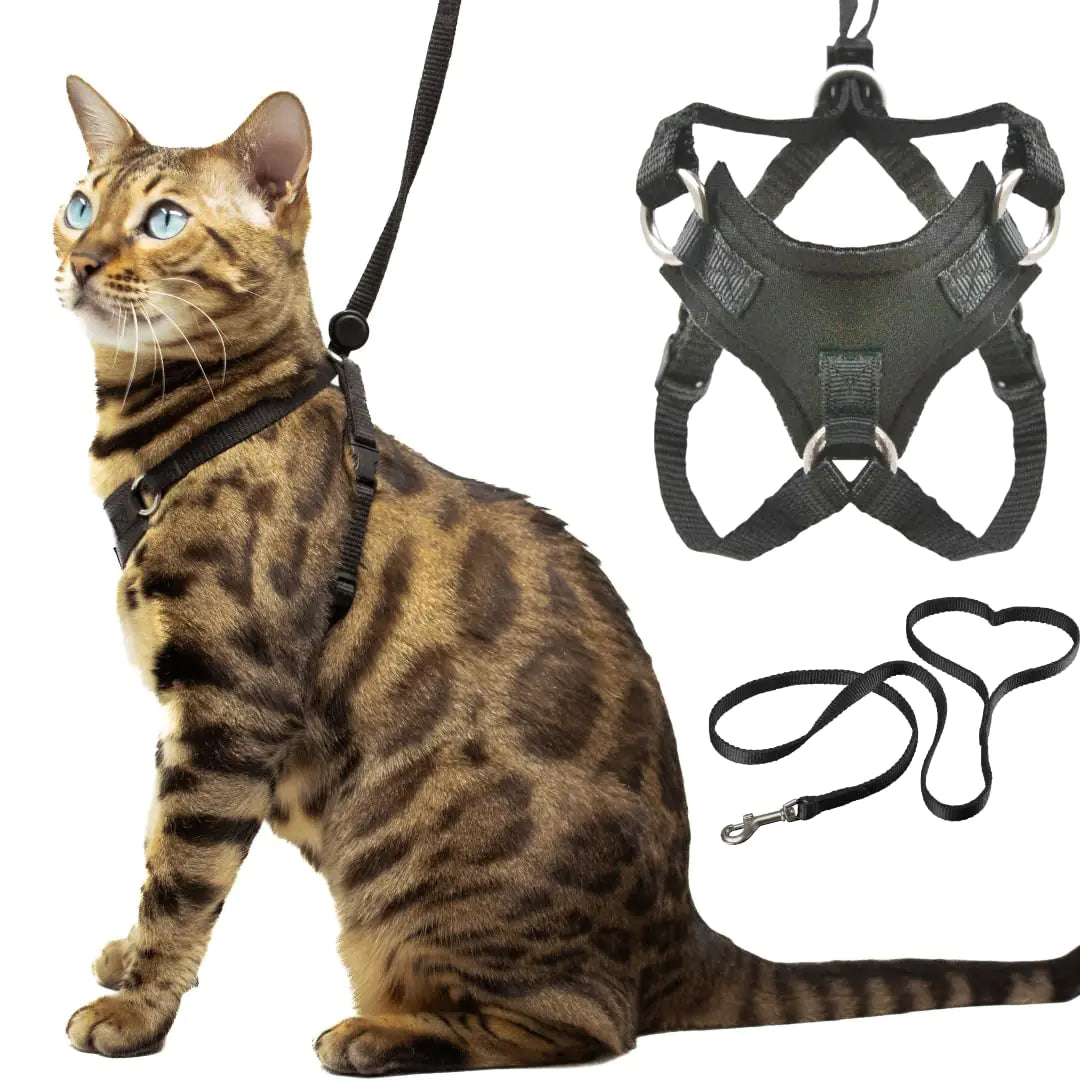 Escape-Proof Adventure Harness — Soft Mesh, Reflective