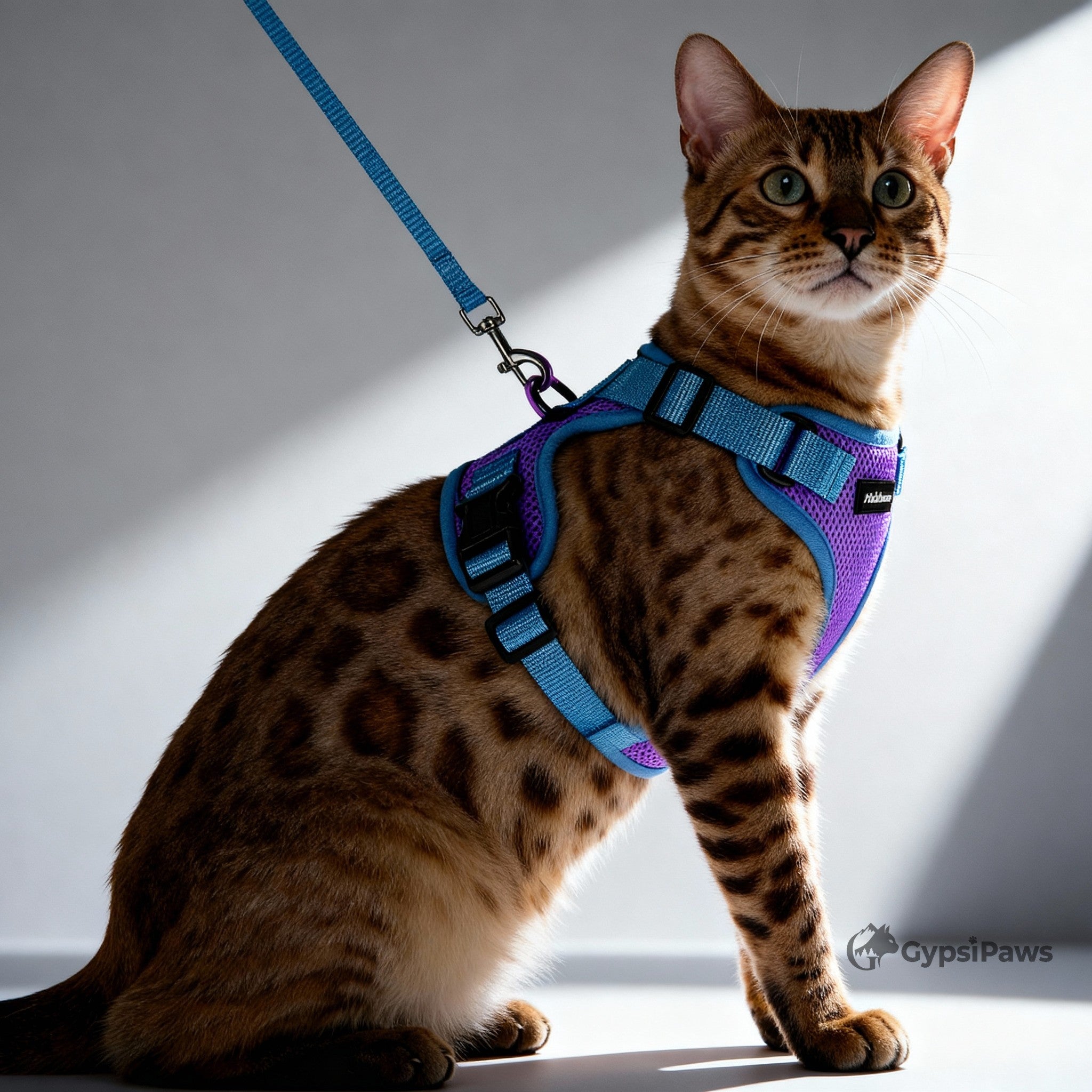DopamineWalk Cat Harness Set — Reflective, Escape-Proof, Breathable Comfort